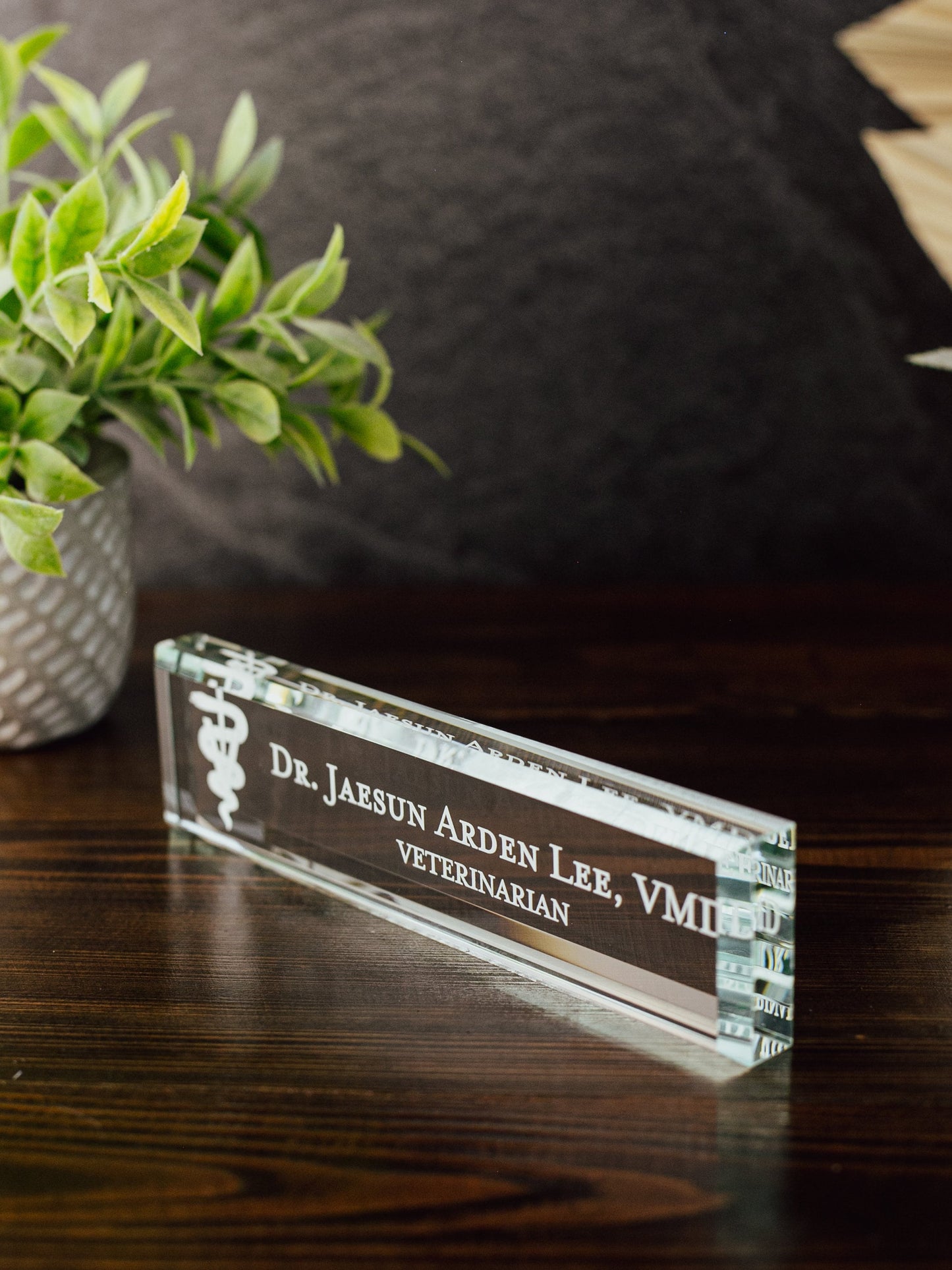 Veterinarian DVM Glass Office Desk Name Plate, Clear New Vet Animal Doctor Nameplate, Practitioner Appreciation Gift, Vet School Graduation