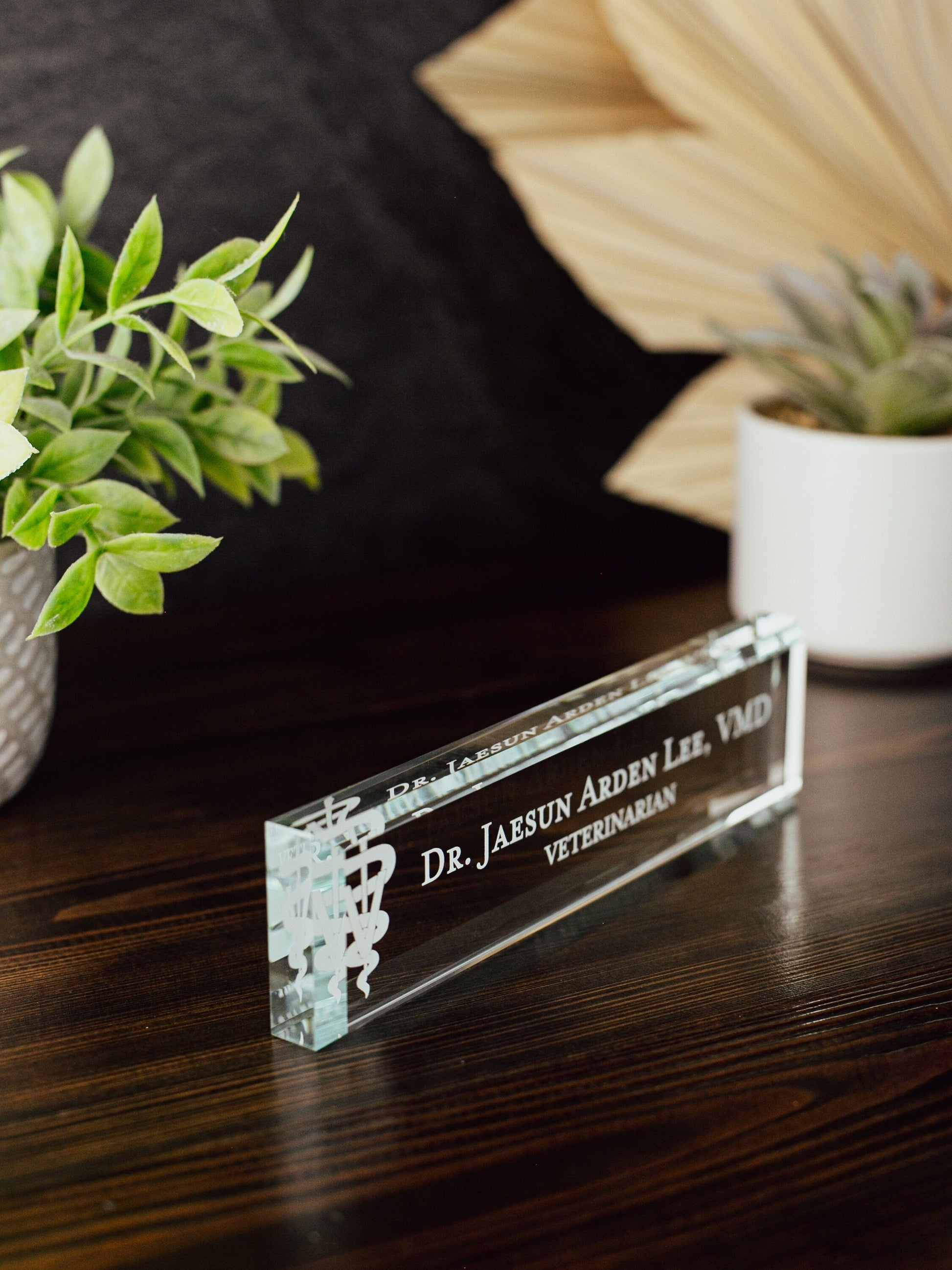 Veterinarian DVM Glass Office Desk Name Plate, Clear New Vet Animal Doctor Nameplate, Practitioner Appreciation Gift, Vet School Graduation