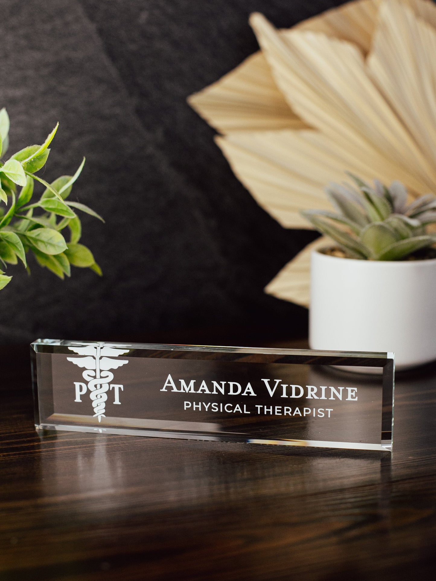 Physical Therapist Glass Office Desk Name Plate, Clear Doctor of PT Nameplate, Medical Practitioner Appreciation Gift, PT School Grad Gift