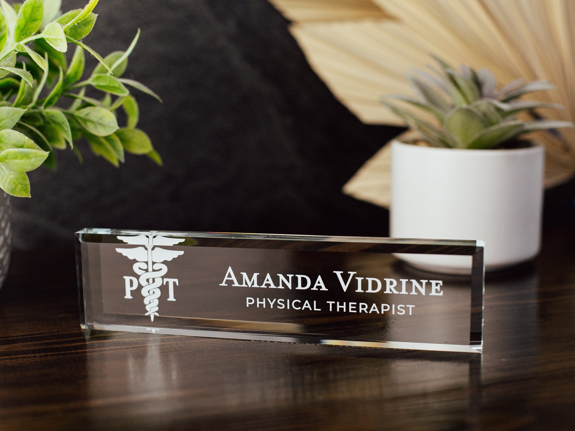 Physical Therapist Glass Office Desk Name Plate, Clear Doctor of PT Nameplate, Medical Practitioner Appreciation Gift, PT School Grad Gift